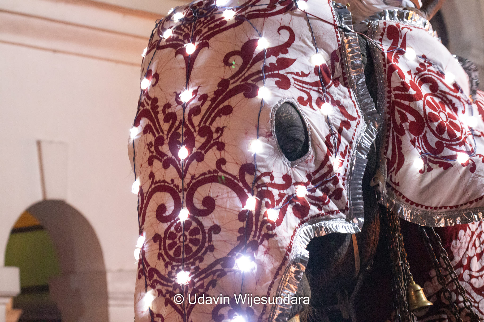 3න් වන කුඹල් පෙරහැර - Additional View